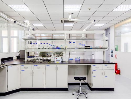 引領綠色未來 以開拓創(chuàng)新與專業(yè)服務，鑄就質量至上的環(huán)保咨詢新標桿