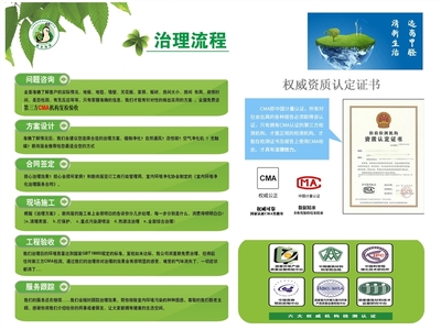 專業(yè)除甲醛與環(huán)保咨詢服務 守護您的呼吸健康