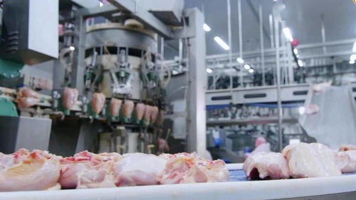 江西圣農 深延產業(yè)鏈，鍛造肉制品加工行業(yè)新龍頭